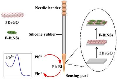 Stripping Voltammetric Determination of Lead in Coastal Waters With a Functional Micro-Needle Electrode